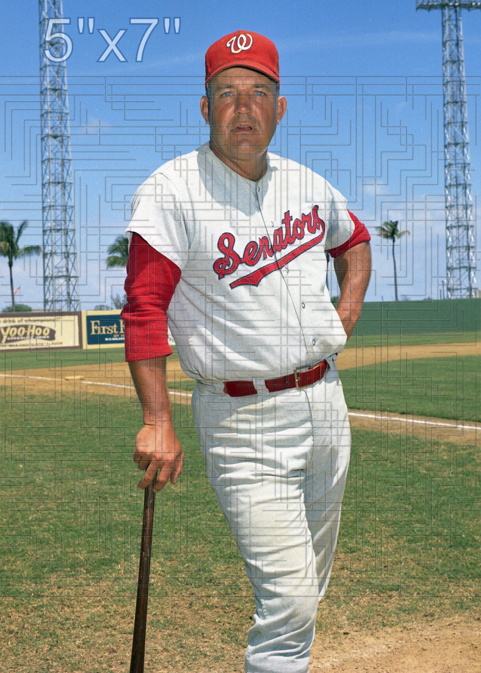 Bobby Hofman - 1968 Washington Senators - choose a size & style