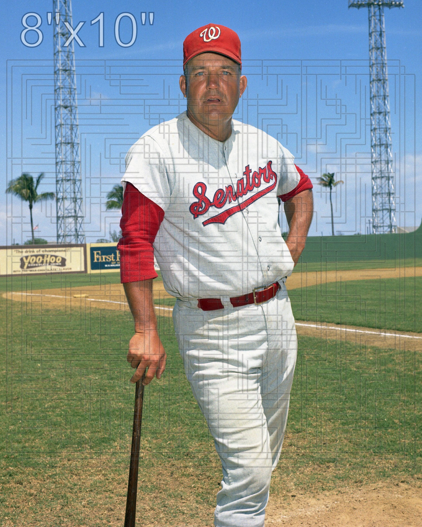 Bobby Hofman - 1968 Washington Senators - choose a size & style