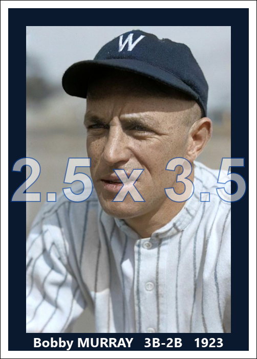Bobby Murray - 1923 Washington Senators - choose a size & style
