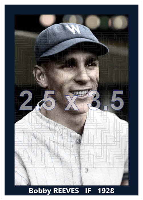 Bobby Reeves - 1928 Washington Senators - choose a size & style