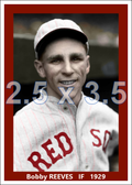 Bobby Reeves - 1929 Boston Red Sox - choose a size & style