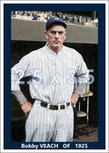 Bobby Veach - 1925 New York Yankees- choose a size & style