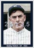 Bobby Veach - 1925 Washington Senators - choose a size & style