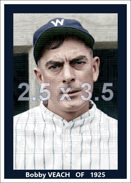 Bobby Veach - 1925 Washington Senators - choose a size & style