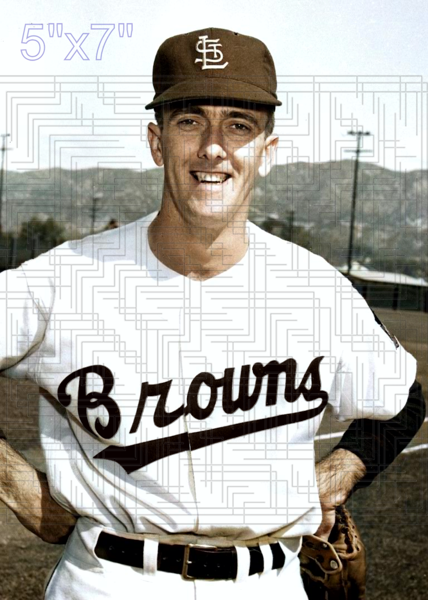 Bobby Young - 1953 St. Louis Browns - choose a size & style