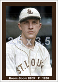 Boom-Boom Beck - 1928 St. Louis Browns - choose a size & style