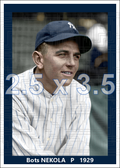 Bots Nekola - 1929 New York Yankees - choose a size & style