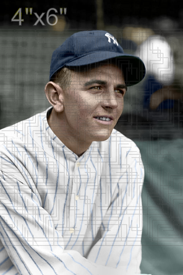 Bots Nekola - 1929 New York Yankees - choose a size & style