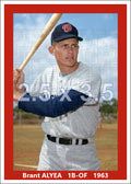 Brant Alyea - 1963 Washington Senators ST - choose a size & style