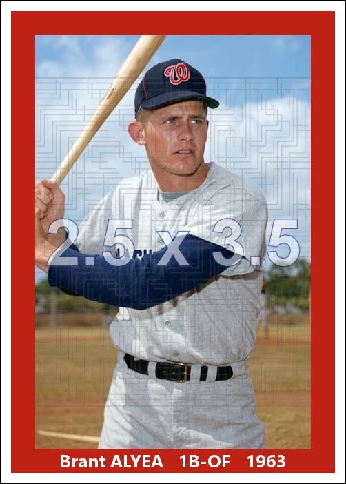 Brant Alyea - 1963 Washington Senators ST - choose a size & style