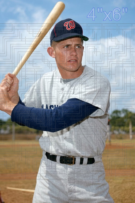 Brant Alyea - 1963 Washington Senators ST - choose a size & style