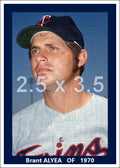 Brant Alyea - 1970 Minnesota Twins - choose a size & style
