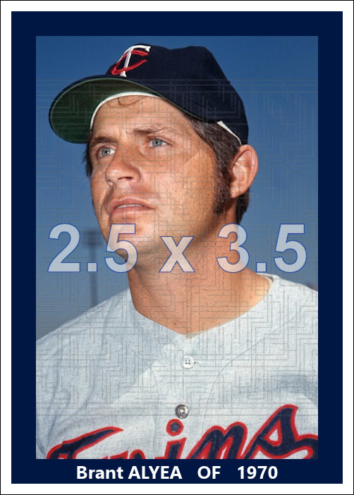Brant Alyea - 1970 Minnesota Twins - choose a size & style