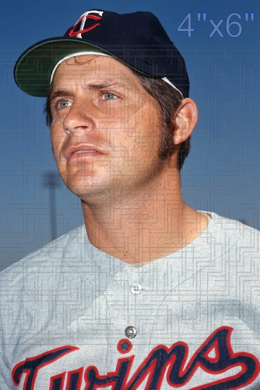 Brant Alyea - 1970 Minnesota Twins - choose a size & style
