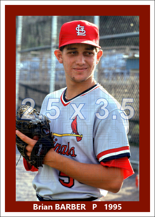 Brian Barber - 1995 St. Louis Cardinals - choose a size & style