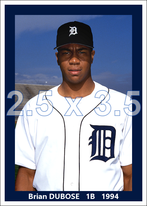 Brian DuBose - 1994 Detroit Tigers - choose a size & style