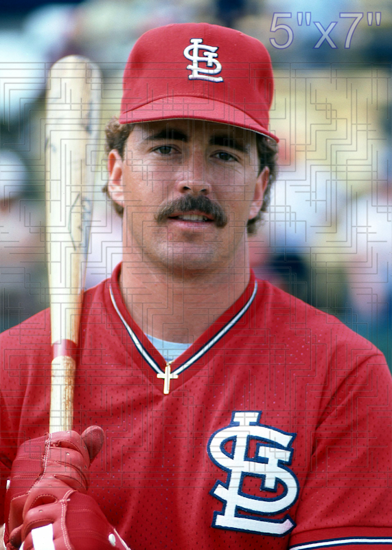 Brian Harper - 1985 St. Louis Cardinals - choose a size & style