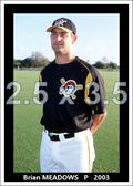 Brian Meadows - 2003 Pittsburgh Pirates - choose a size & style