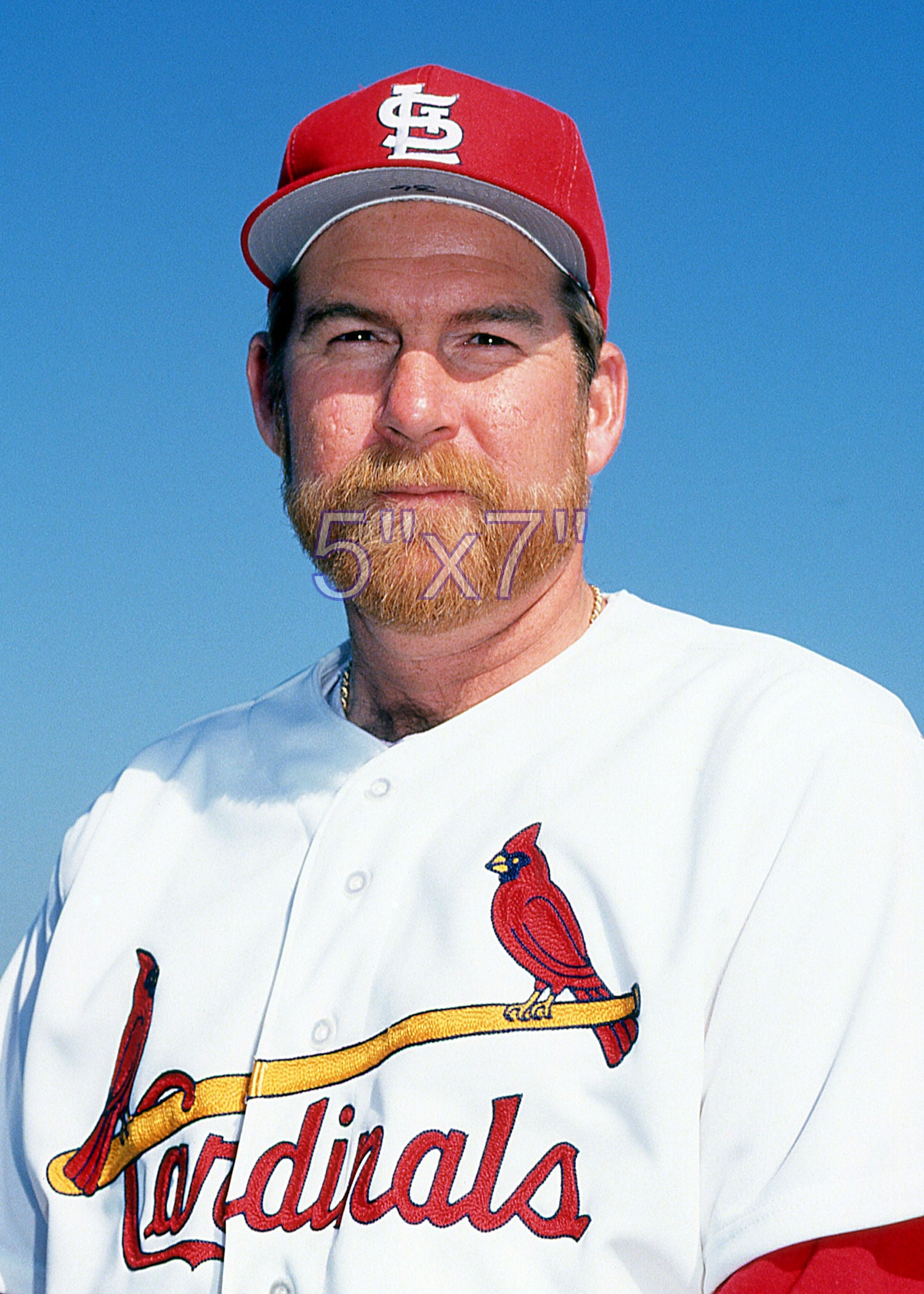 Bryn Smith - 1992 St. Louis Cardinals - choose a size & style