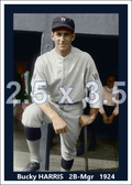 Bucky Harris - 1924 Washington Senators - choose a size & style