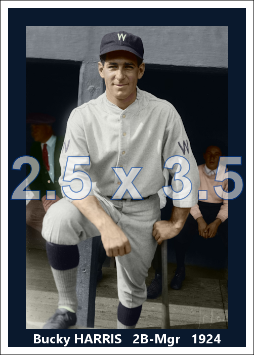 Bucky Harris - 1924 Washington Senators - choose a size & style