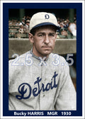 Bucky Harris - 1930 Detroit Tigers - choose a size & style