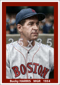 Bucky Harris - 1934 Boston Red Sox - choose a size & style