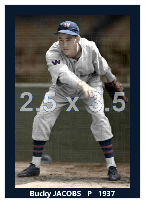 Bucky Jacobs - 1937 Washington Senators - choose a size & style