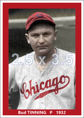 Bud Tinning - 1932 Chicago Cubs - choose a size & style