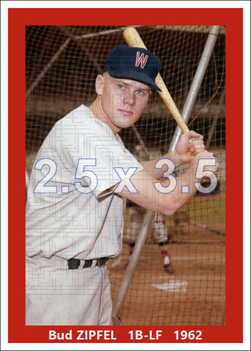 Bud Zipfel - 1962 Washington Senators - choose a size & style