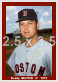 Buddy Hunter - 1973 Boston Red Sox - choose a size & style