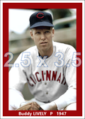 Buddy Lively - 1947 Cincinnati Reds - choose a size & style