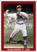 Buddy Napier - 1920 Cincinnati Reds - choose a size & style