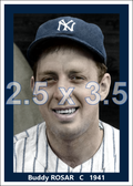 Buddy Rosar - 1941 New York Yankees - choose a size & style