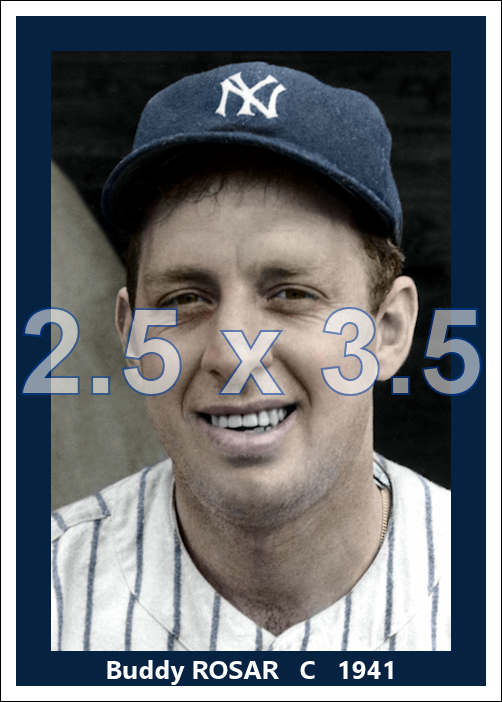 Buddy Rosar - 1941 New York Yankees - choose a size & style