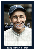 Bump Hadley - 1929 Washington Senators - choose a size & style