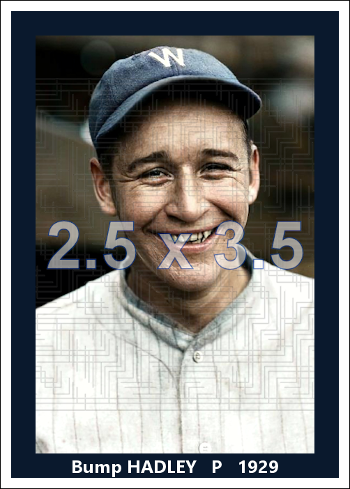 Bump Hadley - 1929 Washington Senators - choose a size & style