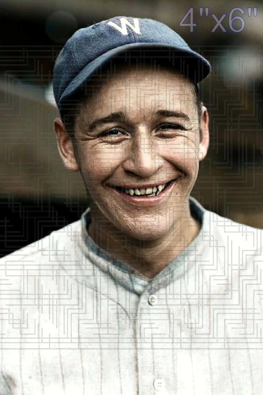 Bump Hadley - 1929 Washington Senators - choose a size & style