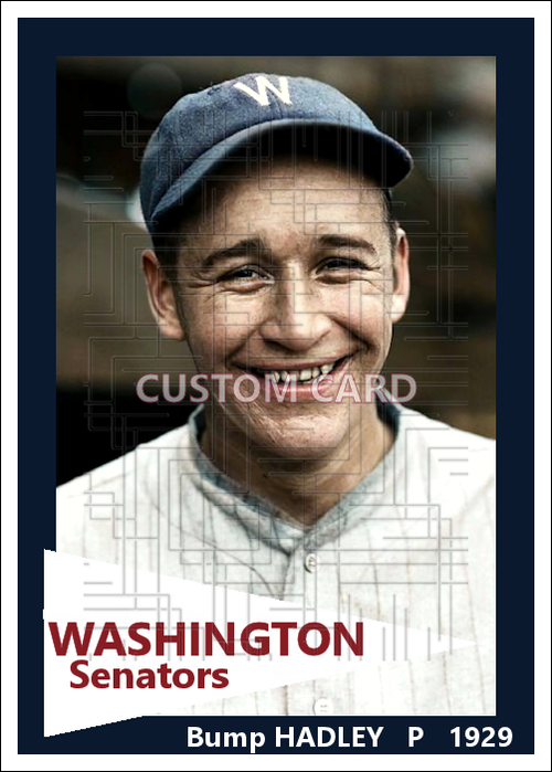 Bump Hadley - 1929 Washington Senators - choose a size & style