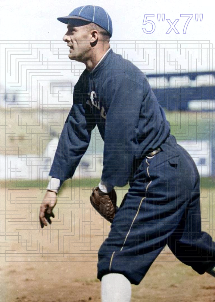 Bunny Brief - 1915 Chicago White Sox - choose a size & style