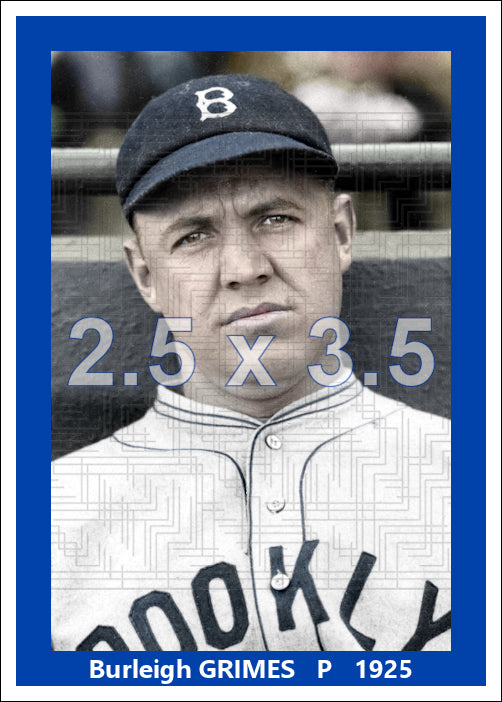 Burleigh Grimes - 1925 Brooklyn Robins - choose a size & style