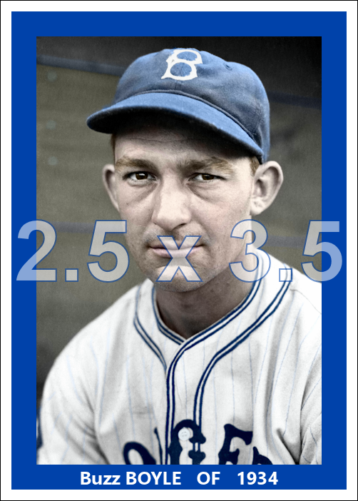 Buzz Boyle - 1934 Brooklyn Dodgers - choose a size & style
