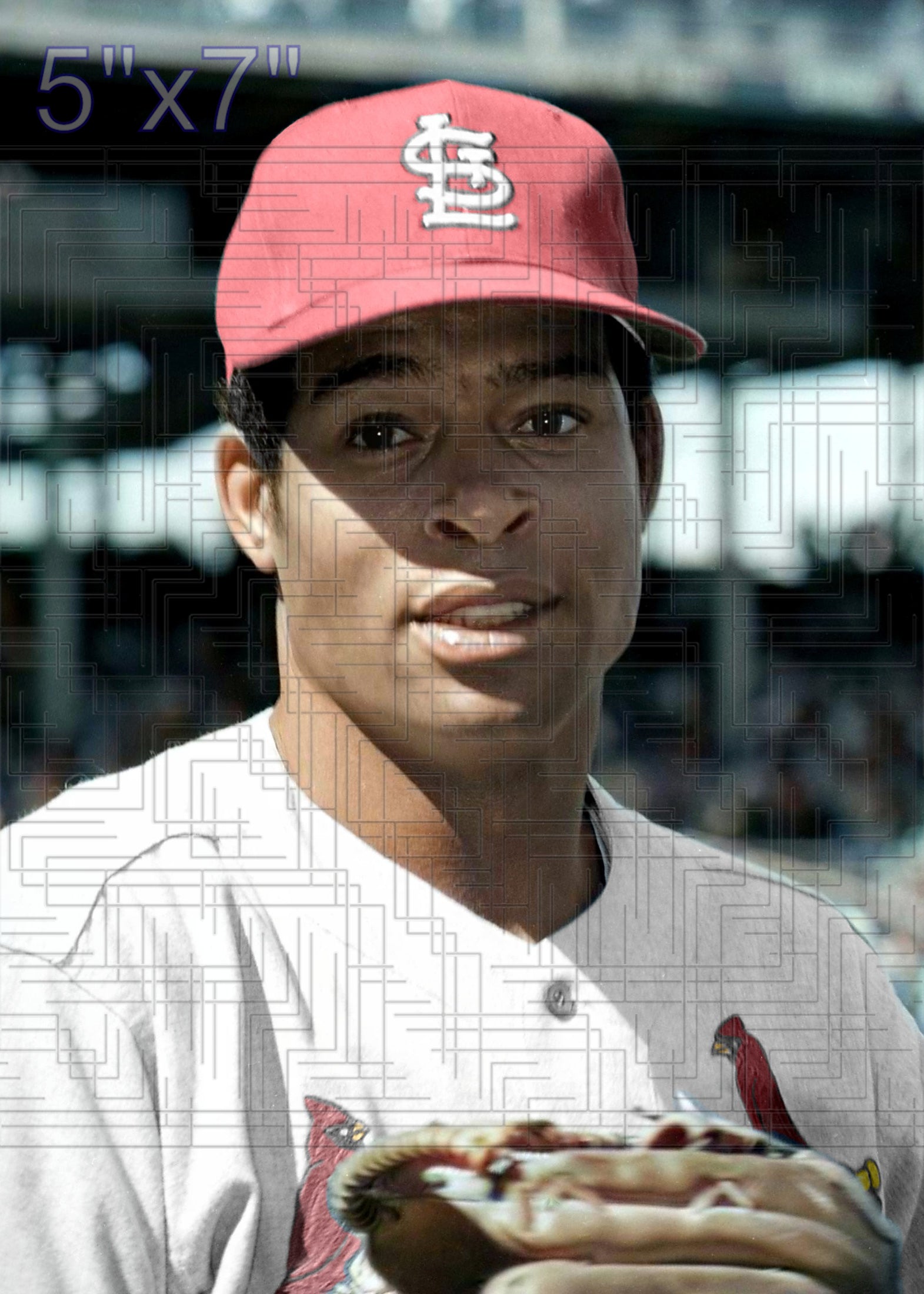 Byron Browne - 1969 St. Louis Cardinals - choose a size & style