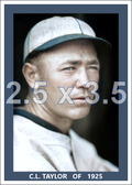 C.L. Taylor - 1925 Chicago Cubs - choose a size & style