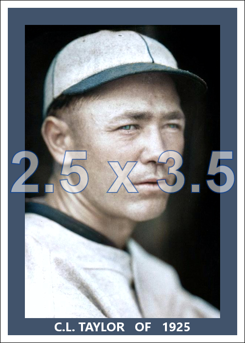 C.L. Taylor - 1925 Chicago Cubs - choose a size & style
