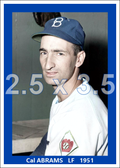 Cal Abrams - 1951 Brooklyn Dodgers - choose a size & style