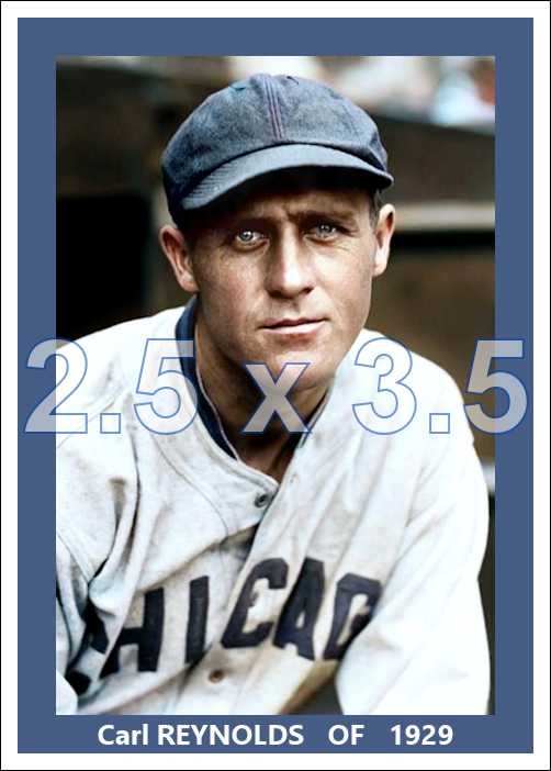Carl Reynolds - 1929 Chicago White Sox - choose a size & style