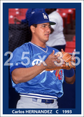 Carlos Hernandez - 1993 Los Angeles Dodgers - choose a size & style