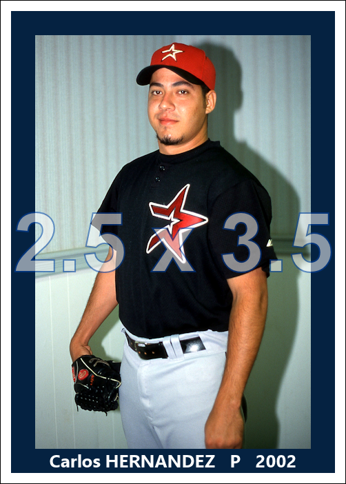 Carlos Hernandez - 2002 Houston Astros - choose a size & style