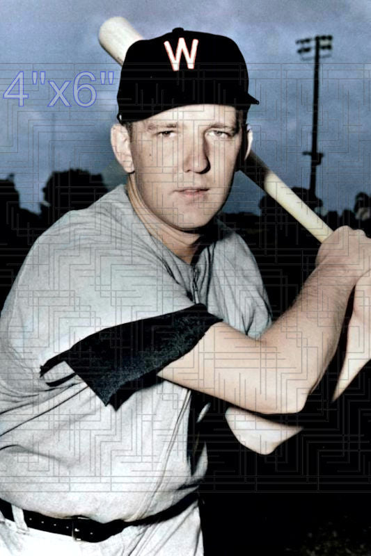 Cass Michaels - 1951 Washington Senators - choose a size & style